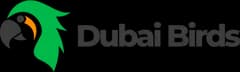 Dubai Birds – Premium Exotic Birds in Dubai
