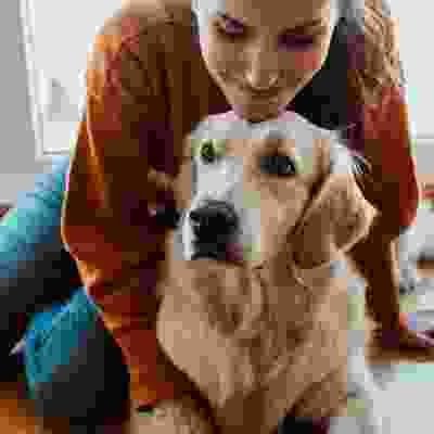 h1-gallery-img-02