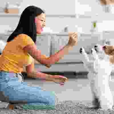 h1-gallery-img-04