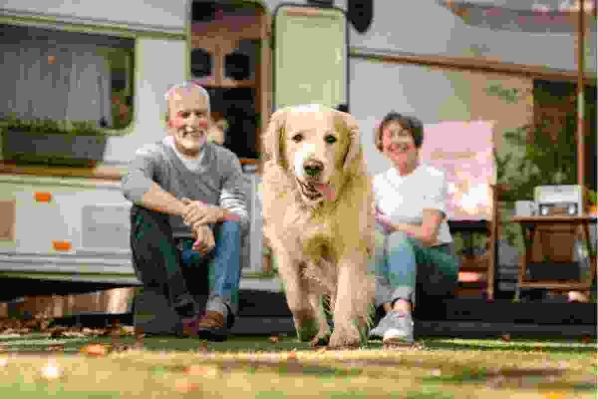 pets-friendly-img